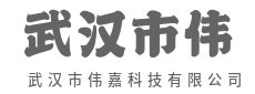 链接现在，定义明天-武汉市伟嘉科技有限公司